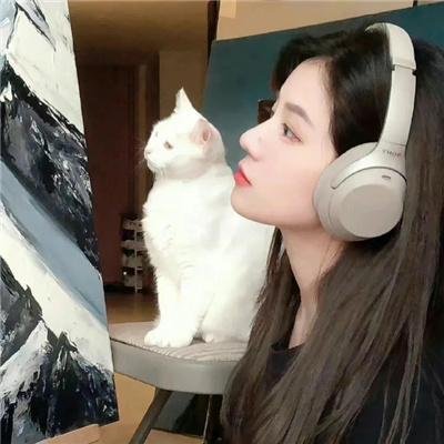 不负如来不负卿